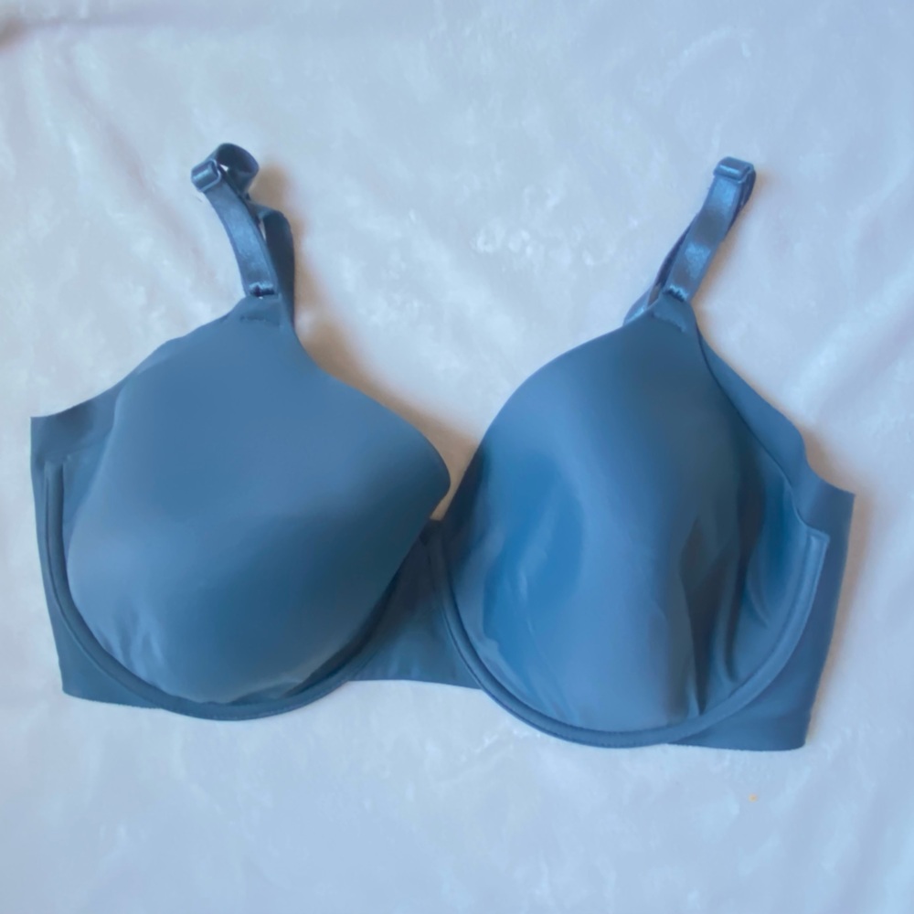 Warner’s Teal 38DDD Wired Bra